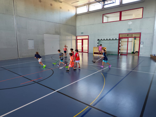 Unihockey