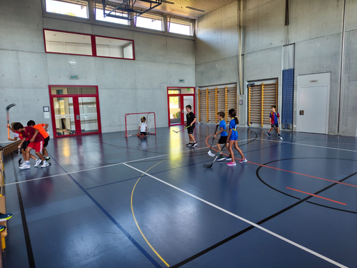 Unihockey