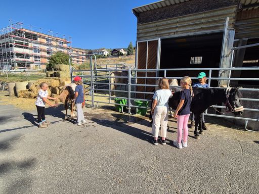Rund ums Pony_Vormittag