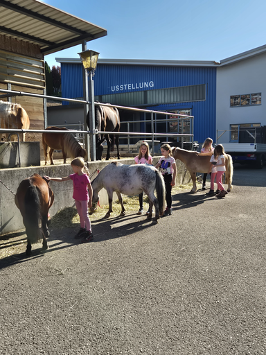 Rund ums Pony_Vormittag