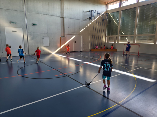 Unihockey