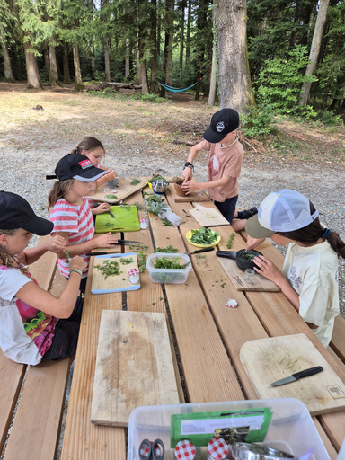 Kochen im Wald