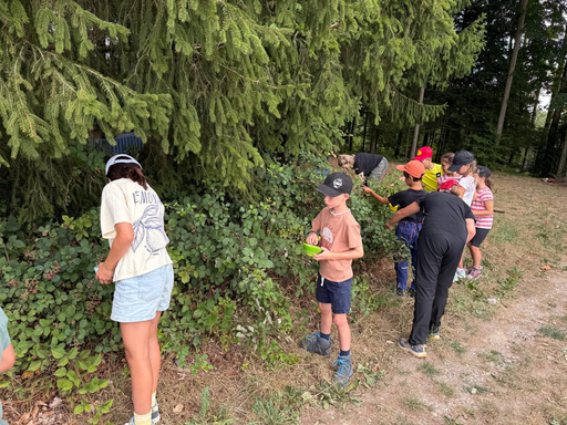 Kochen im Wald