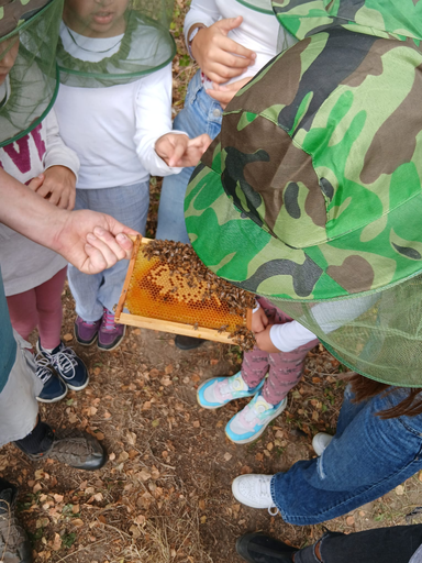 Imkerei - Rund um Bienen