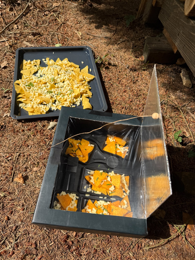 Kochen im Wald