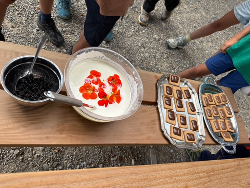 Kochen im Wald